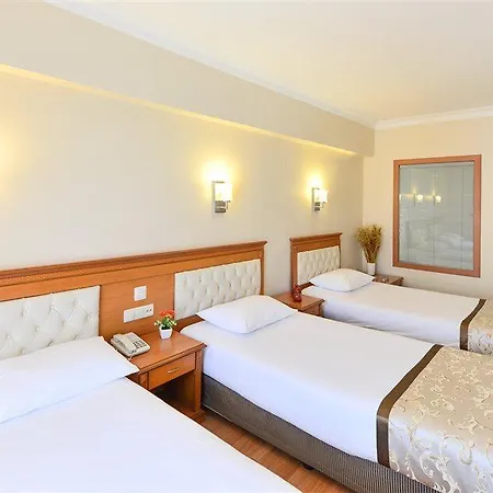 Prestige Old فندق